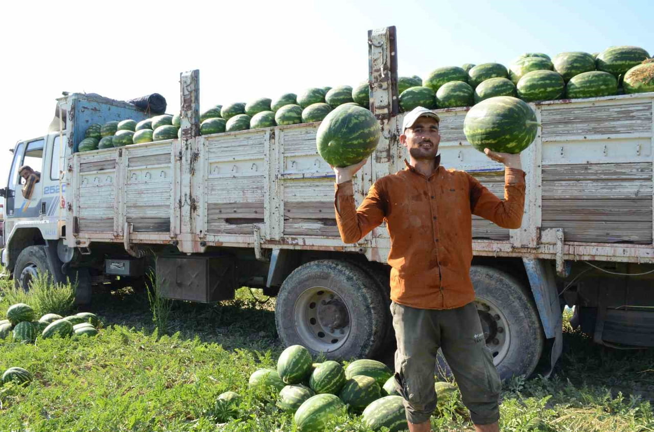 ÇALIŞAN İŞÇİLER