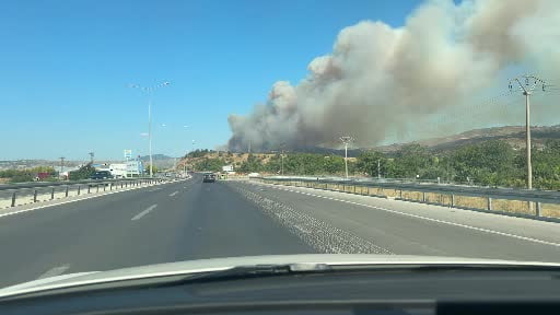 Çanakkale'de orman yangını
