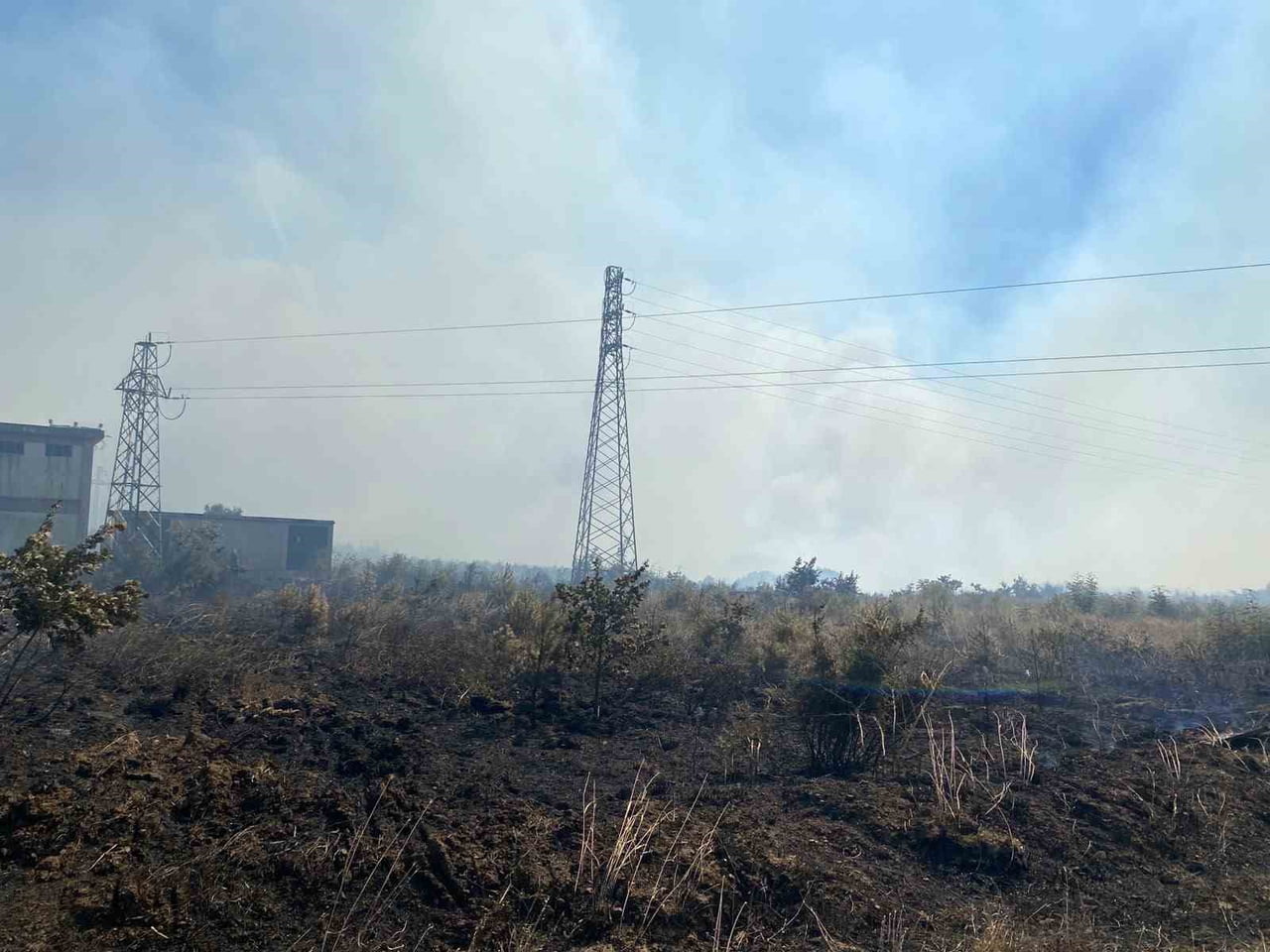 ÇANAKKALE'NİN BİGA İLÇESİNDE TARIM ARAZİSİNDE ÇIKAN YANGINA HAVADAN VE KARADAN MÜDAHALE...