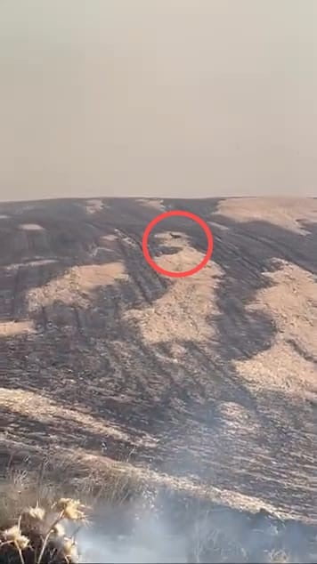 ÇANAKKALE’DE 6 BUÇUK SAATTE KONTROL ALTINA ALINAN ORMAN YANGININDA YANAN ALANDAN KAÇAN BİR GEYİĞİN...