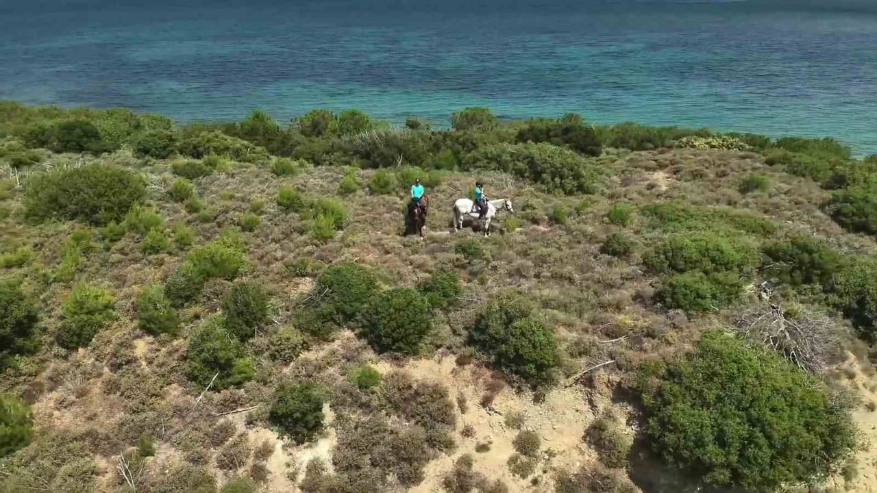 ÇANAKKALE’DE ORMAN VE JANDARMA EKİPLERİ ORMAN YANGINLARINA KARŞI SAHADA DENETİMLERİNİ ARALIKSIZ...