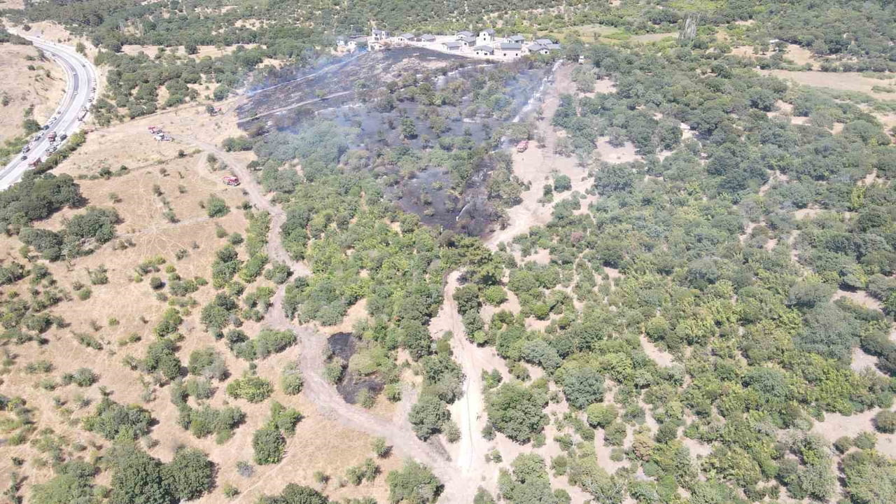 ÇANAKKALE’NİN AYVACIK İLÇESİNDE ÇIKAN ORMAN YANGININI ORMAN BÖLGE MÜDÜRLÜĞÜ EKİPLERİNİN HAVADAN VE...