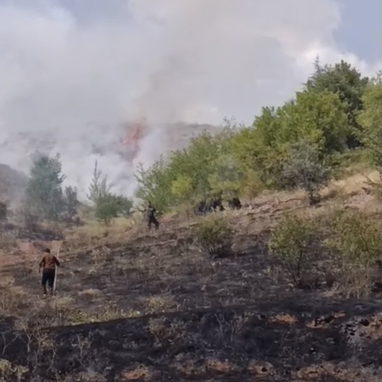 ÇANKIRI’DA BİR ARAZİDE ÇIKAN YANGIN EKİPLER TARAFINDAN SÖNDÜRÜLDÜ.