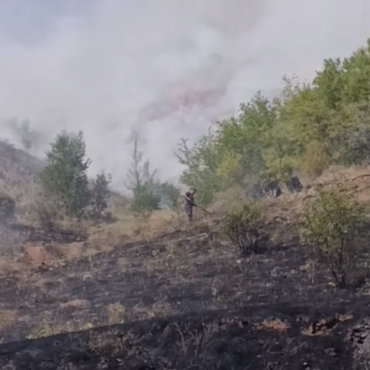 ÇANKIRI’DA BİR ARAZİDE ÇIKAN YANGIN EKİPLER TARAFINDAN SÖNDÜRÜLDÜ.