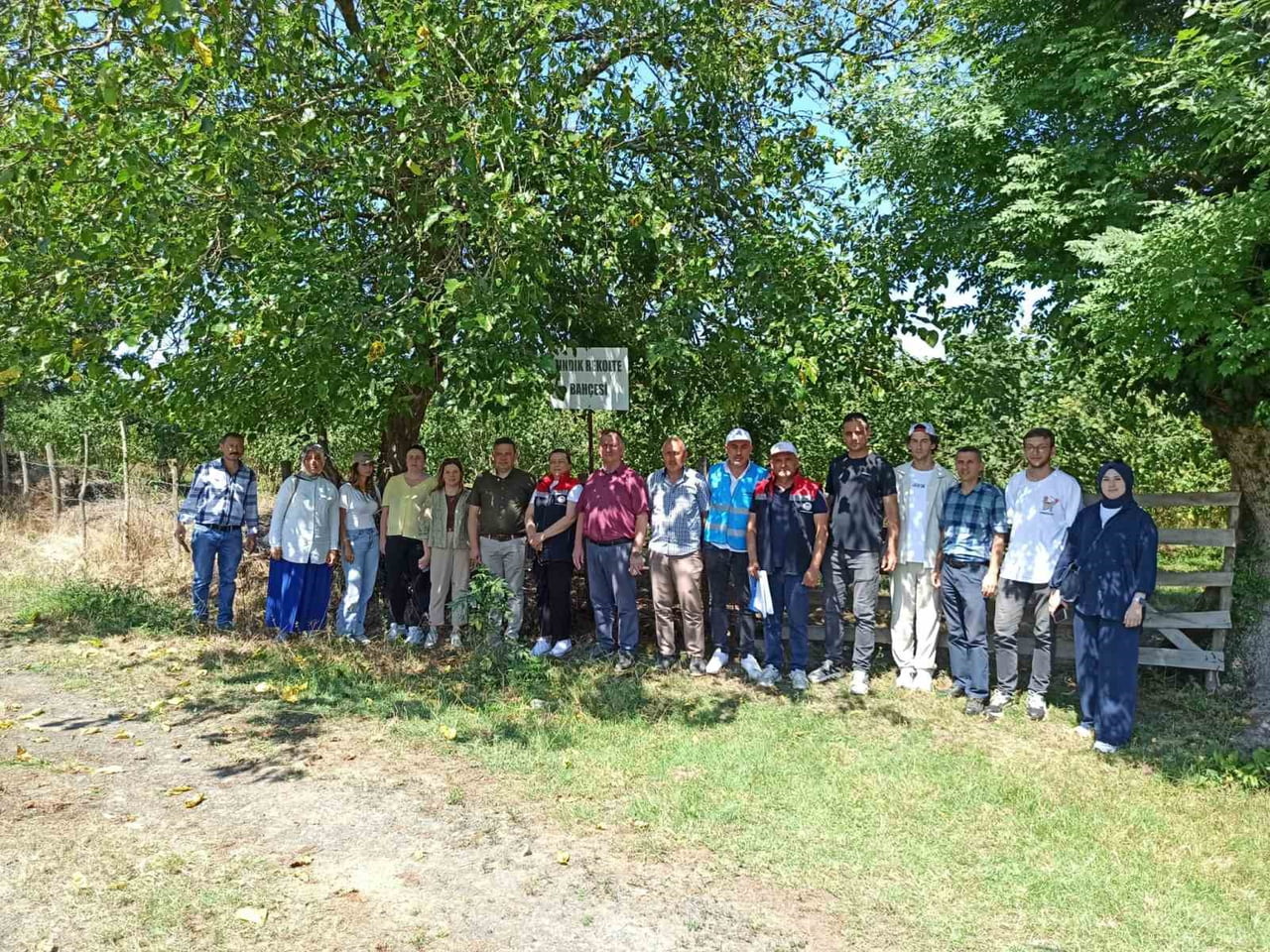 ÇARŞAMBA OVASI'NDA, 2026 YILI FINDIK HASAT SEZONU ÖNCESİNDE YÜRÜTÜLEN REKOLTE TESPİT ÇALIŞMALARI...
