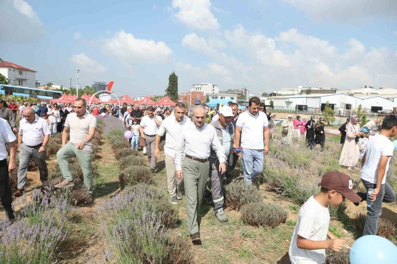 ÇAYIROVA'DA BU YIL İKİNCİSİ GERÇEKLEŞTİRİLEN LAVANTA HASADI ŞENLİĞİ, RENKLİ GÖRÜNTÜLERE SAHNE...
