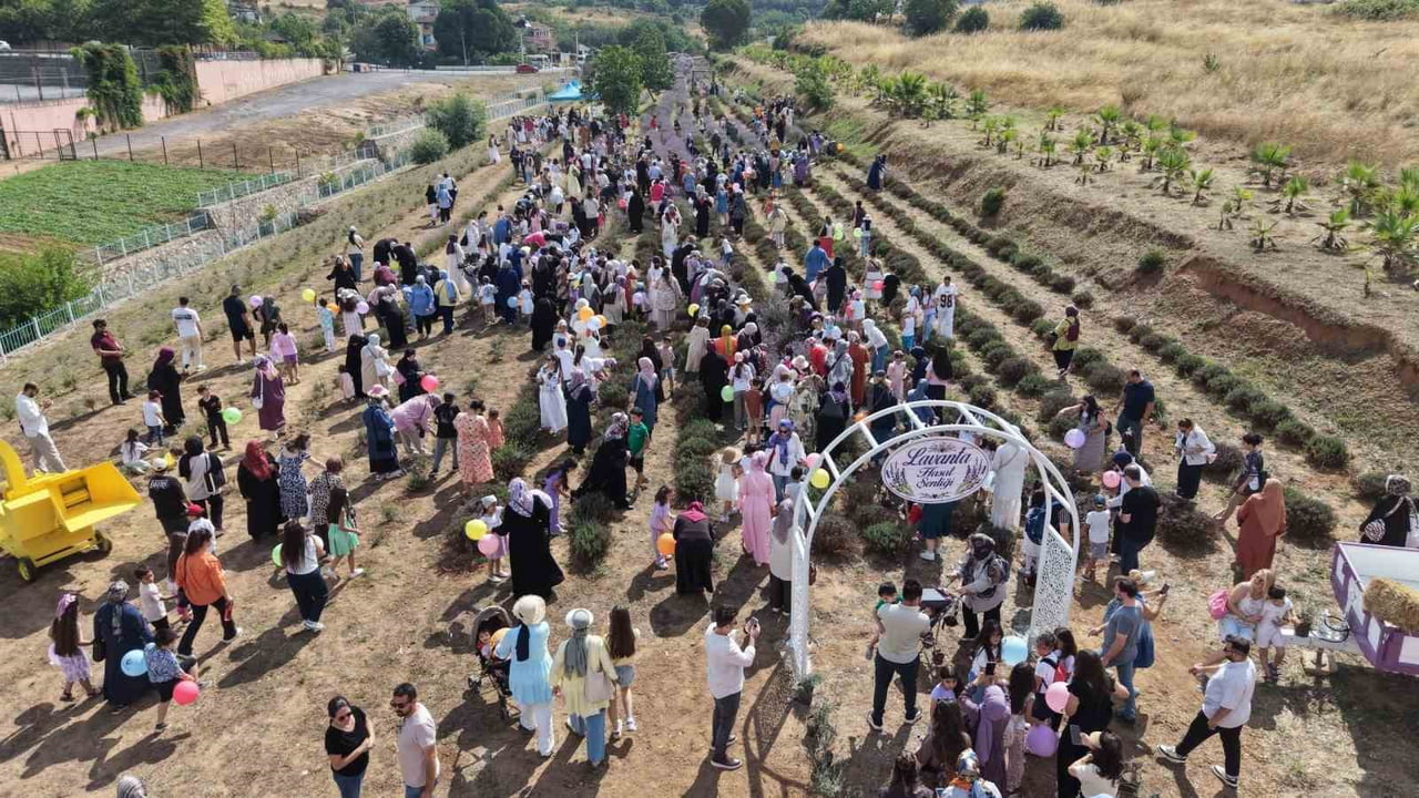 ÇAYIROVA'DA BU YIL İKİNCİSİ GERÇEKLEŞTİRİLEN LAVANTA HASADI ŞENLİĞİ, RENKLİ GÖRÜNTÜLERE SAHNE...