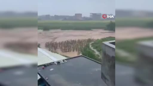 Çin’de etkili olan Maysak Tayfunu nedeniyle meydana gelen selde yılan yetiştirilen çiftliklerden...