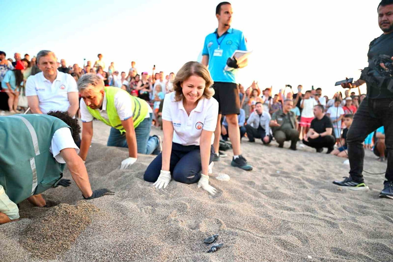 ÇIRALI PLAJI'NDA CARETTA CARETTA YAVRULARININ GÜVENLE DENİZLE BULUŞMASINA YÖNELİK FARKINDALIK...