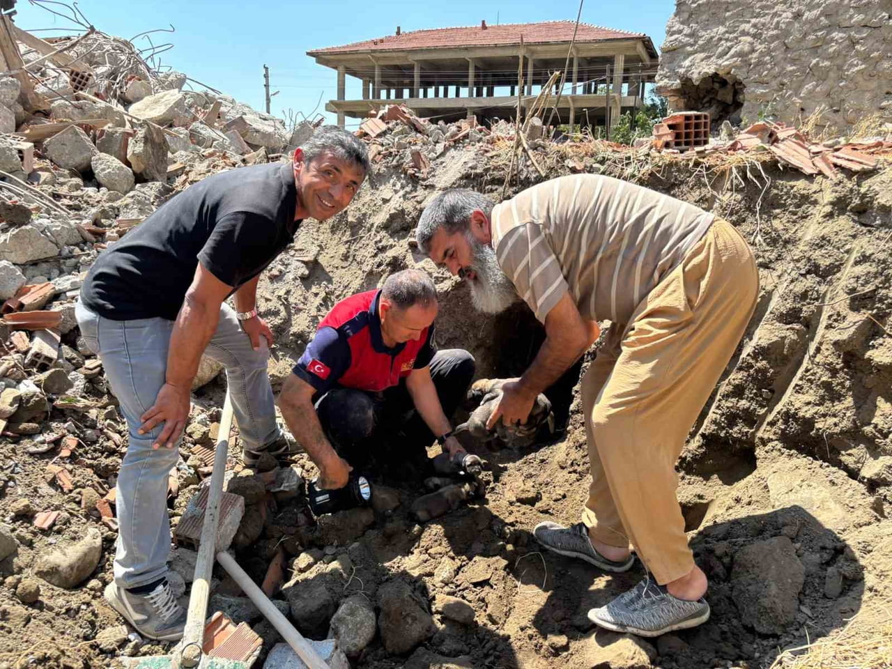 ÇORUM'UN SUNGURLU İLÇESİNDE YIKIM İŞLEMLERİ DEVAM EDEN ESKİ BİR BİNADA MAHSUR KALAN 8 YAVRU KÖPEK...