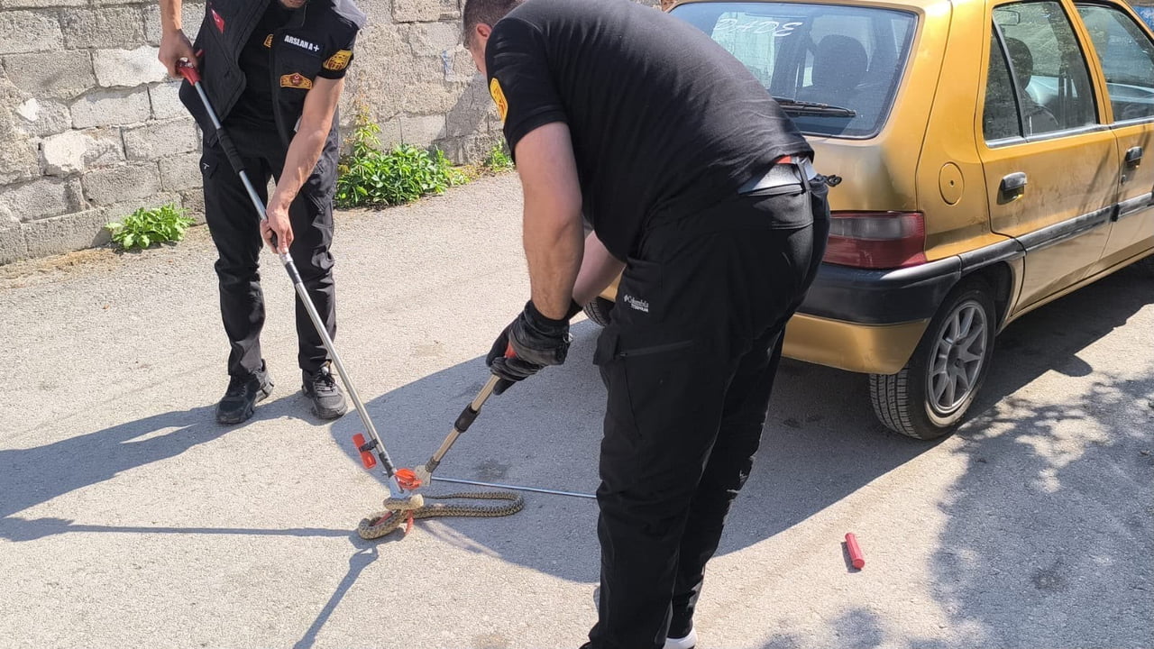 ÇORUM’UN ALACA İLÇESİNDE BİR OTOMOBİLİN ALT KISMINA GİREN YILAN, İTFAİYE EKİPLERİNİN MÜDAHALESİYLE...