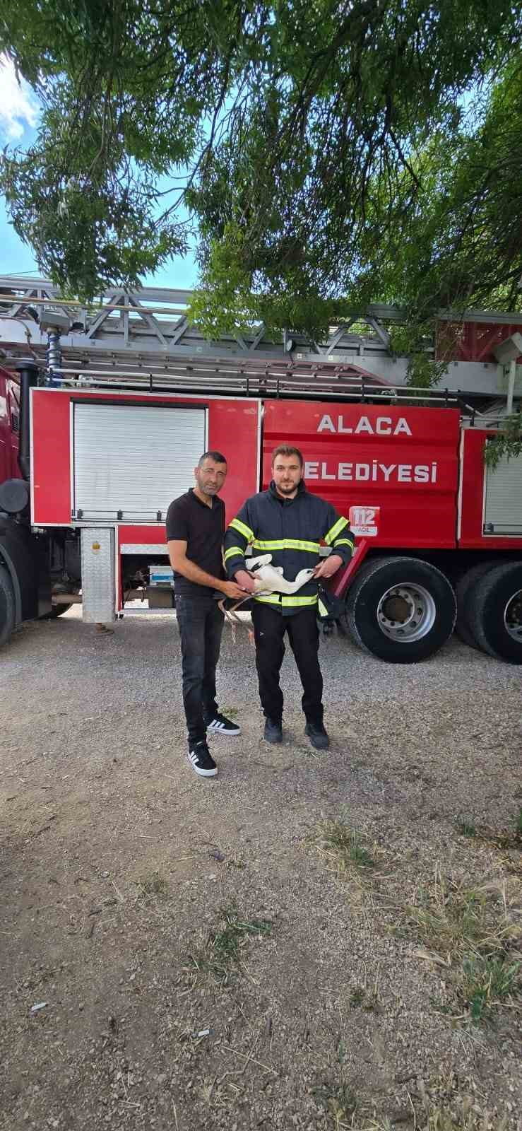 ÇORUM’UN ALACA İLÇESİNDE YUVASINDA AYAĞINA NAYLON VE BEZ PARÇALARI DOLANDIĞI İÇİN UÇAMAYAN LEYLEK...