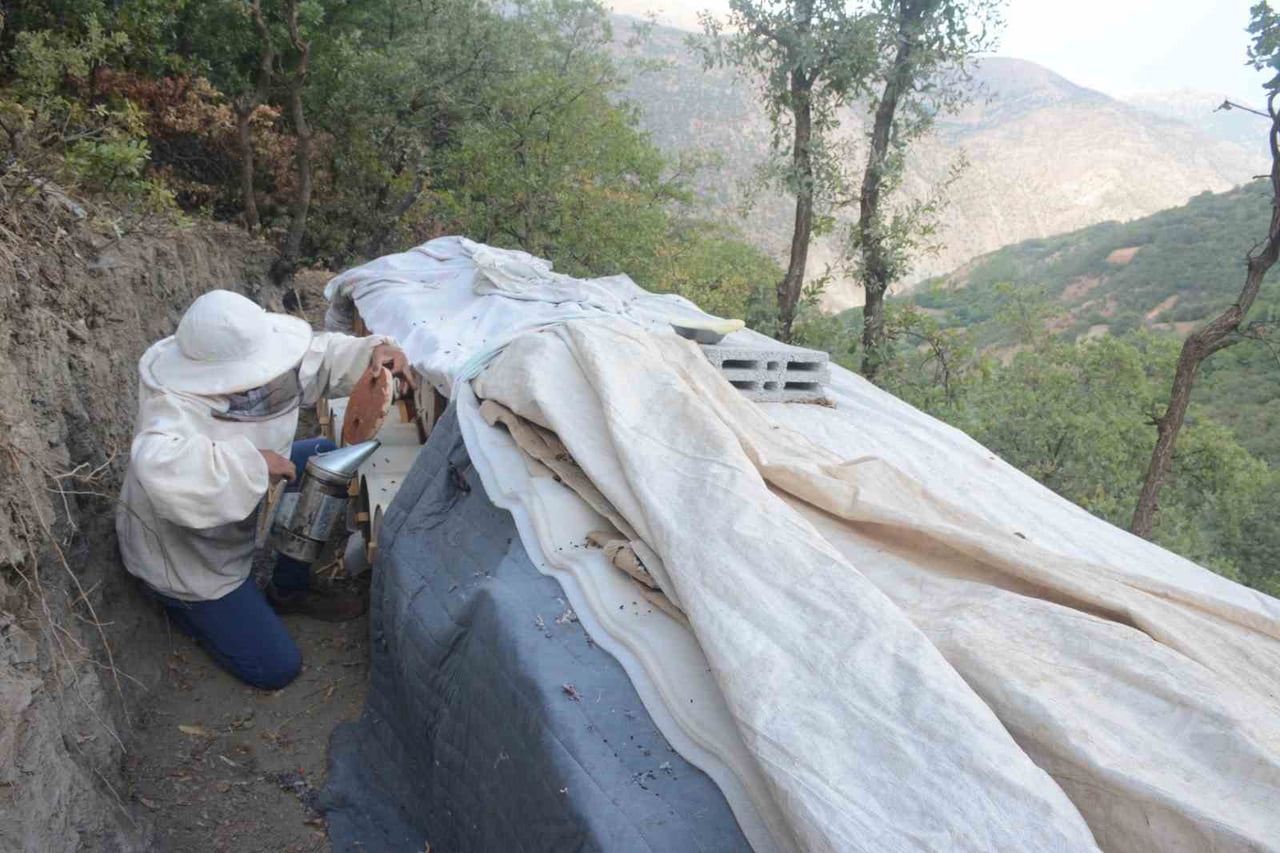 CUMHURBAŞKANLIĞI KÜLLİYESİ’NDE DÜZENLENEN NATO ZİRVESİ AKŞAM YEMEĞİNDE TÜRKİYE’NİN FARKLI...