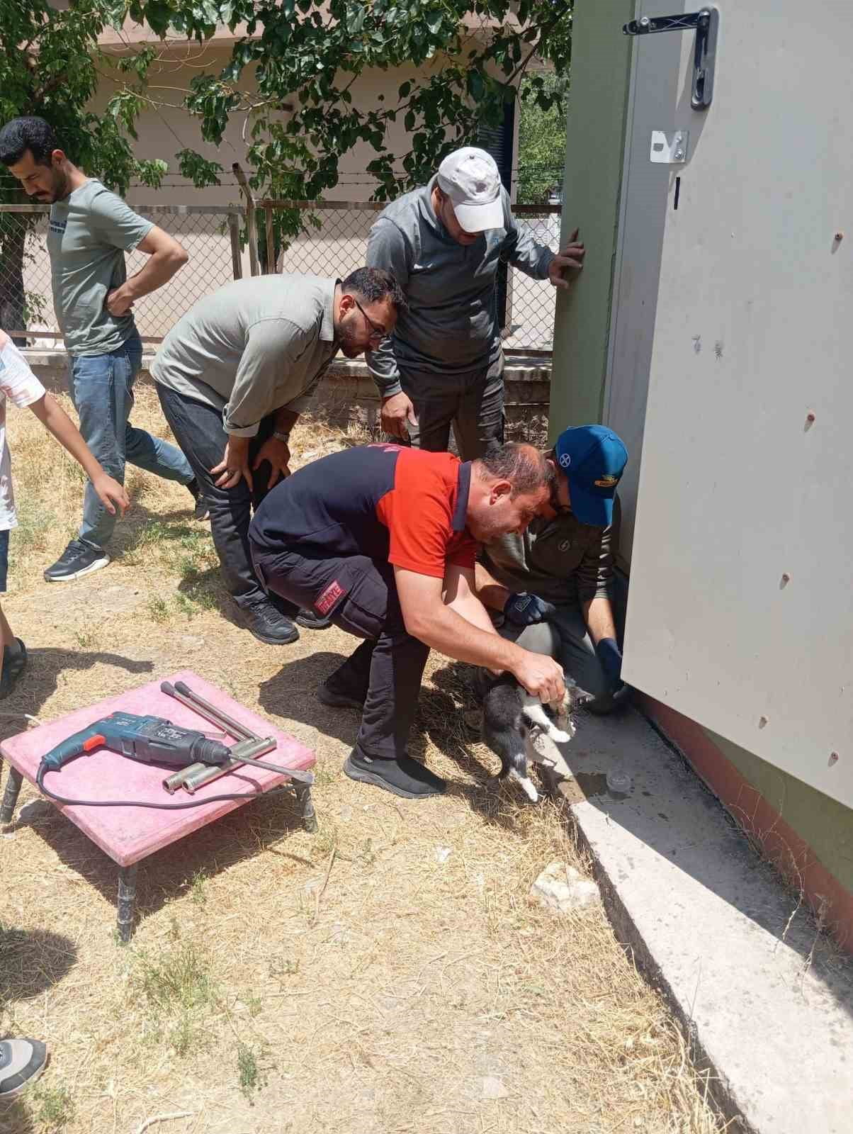 CUMHURİYET MAHALLESİ’NDE BAŞI TRAFO DELİĞİNE SIKIŞAN KEDİ, İTFAİYENİN MÜDAHALESİYLE...