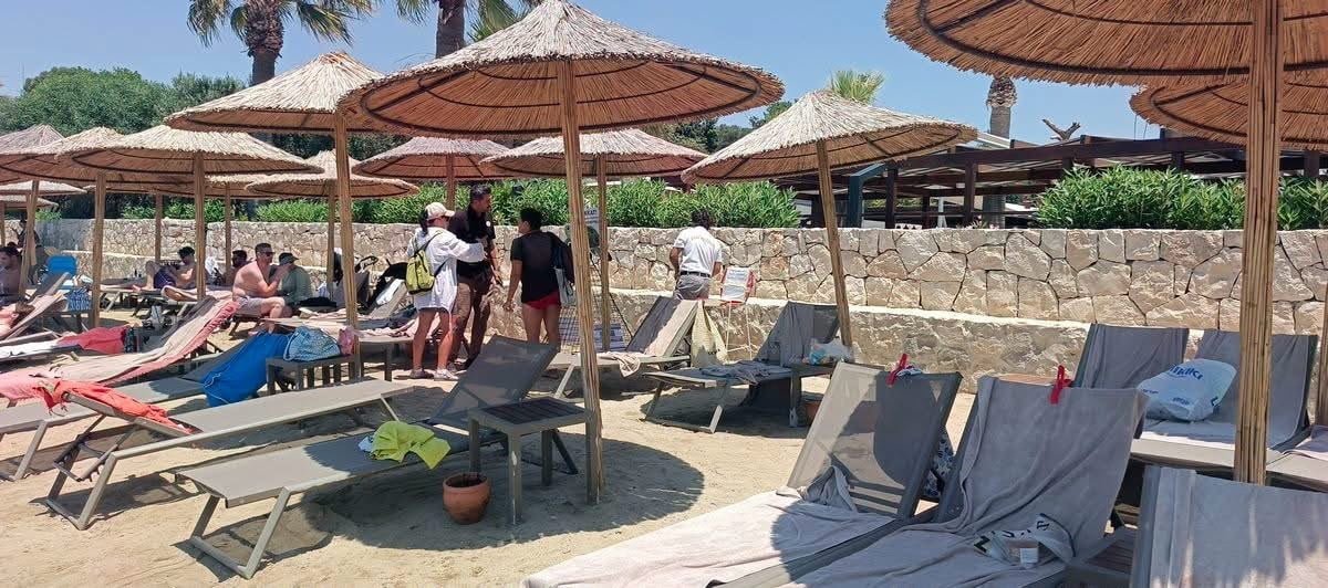 DENİZ KAPLUMBAĞALARININ RESMİ YUVALAMA ALANLARININ DIŞINDA KALAN AYDIN KIYILARINDA SON DÖNEMDE...