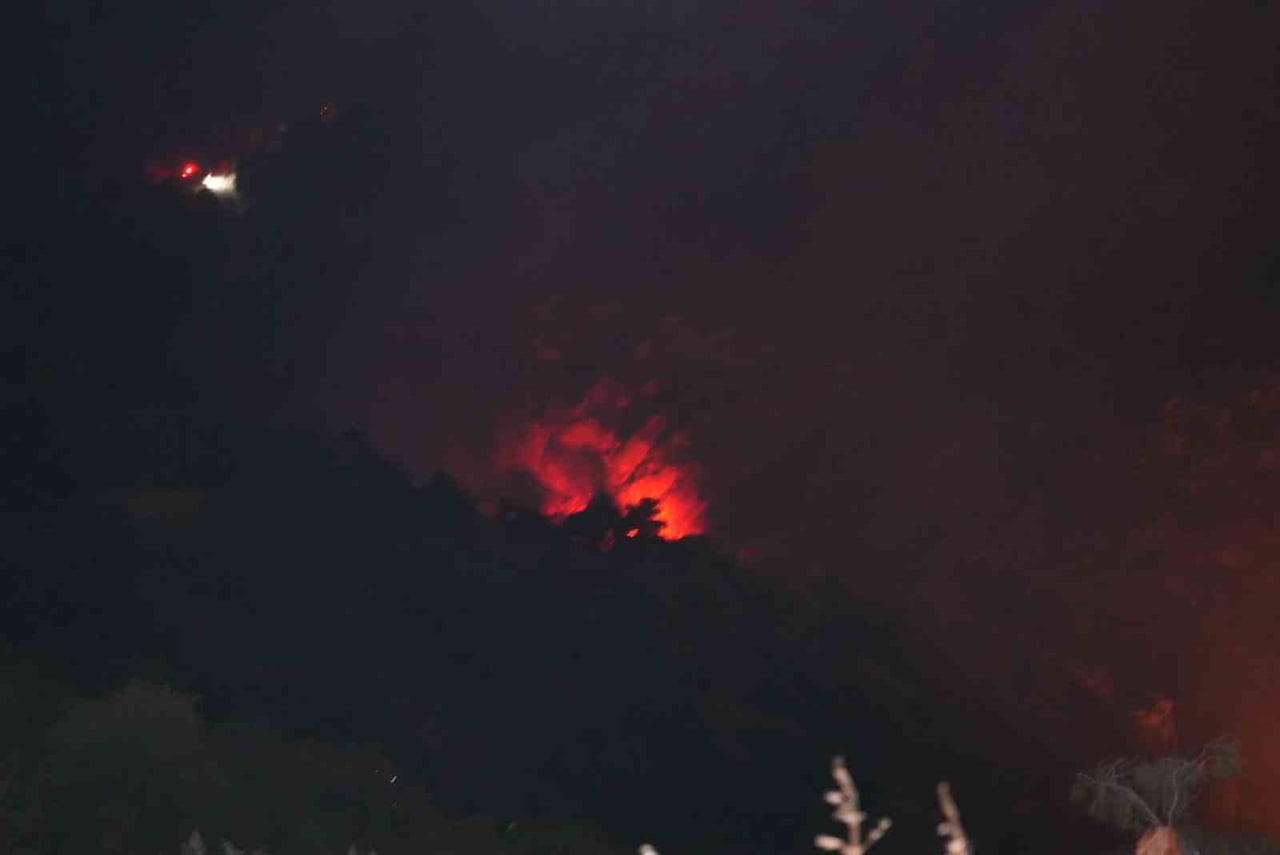 DENİZLİ'NİN PAMUKKALE İLÇESİNDE DÜNYACA ÜNLÜ TRAVERTENLERE YAKIN BÖLGEDEKİ ORMANLIK ALANDA ÇIKAN...