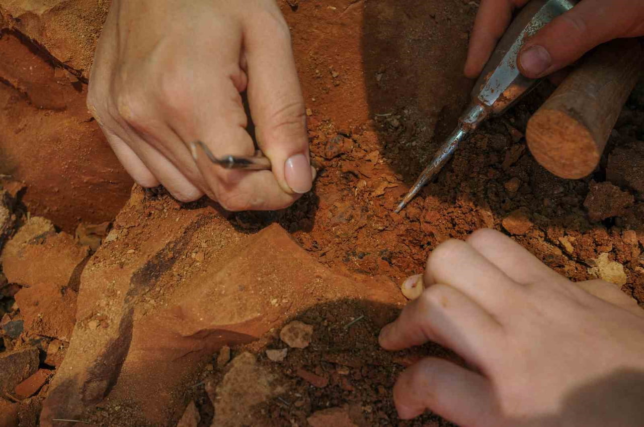 DENİZLİ BÜYÜKŞEHİR BELEDİYESİ, KENTİN ARKEOLOJİK VE PALEONTOLOJİK ZENGİNLİKLERİNİ GÜN YÜZÜNE...