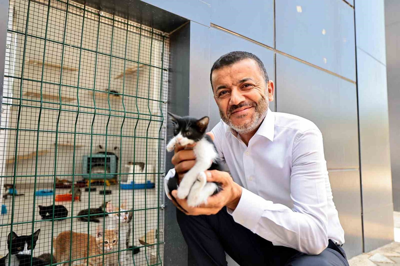 DENİZLİ BÜYÜKŞEHİR BELEDİYESİ SOKAK HAYVANLARI BARINMA VE REHABİLİTASYON MERKEZİ, 8 TAM DONANIMLI...