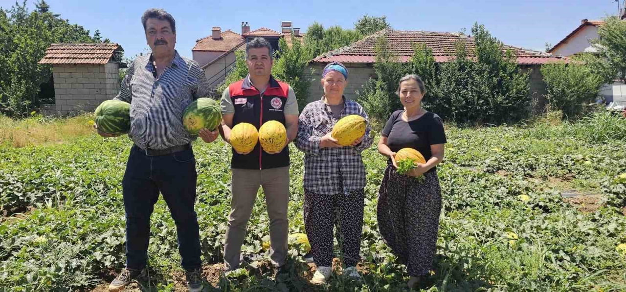 DENİZLİ’NİN COĞRAFİ İŞARET TESCİLLİ ÜRÜNLERİNDEN ACIPAYAM KAVUNUNDA 2026 YILININ İLK HASADI...