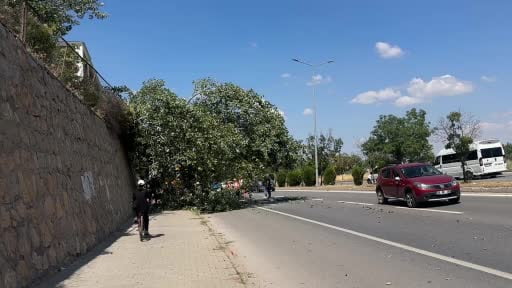 Devrilen kavak ağacı karayolunu kısmen trafiğe kapattı