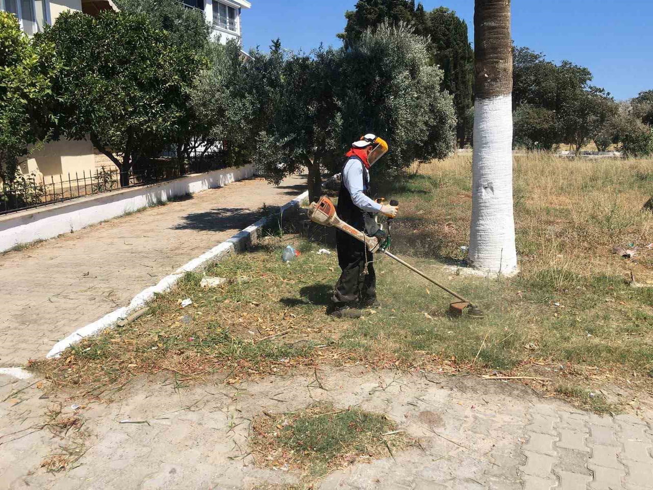 DİDİM BELEDİYESİ, KENT ESTETİĞİNİ GÜÇLENDİRMEK AMACIYLA YÜRÜTTÜĞÜ PEYZAJ VE BAKIM ÇALIŞMALARI...