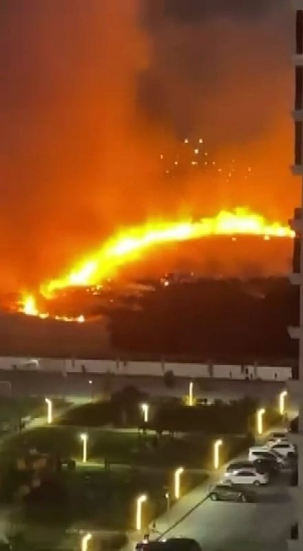 DİYARBAKIR'DA OTLUK ALANDA ÇIKAN YANGIN PANİĞE NEDEN OLDU.