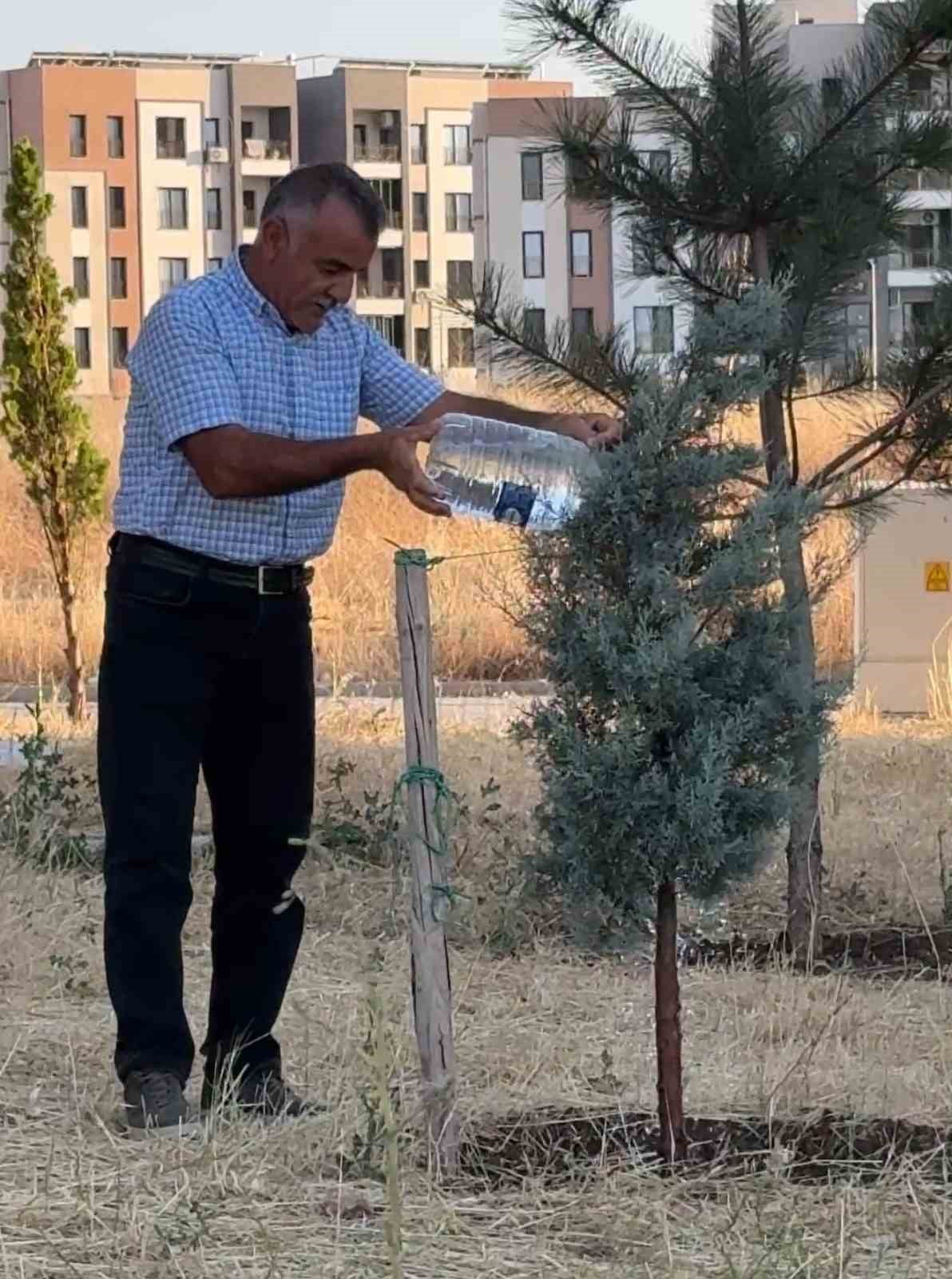 DİYARBAKIR'IN BAĞLAR İLÇESİNE BAĞLI OĞLAKLI MAHALLESİ’NDE YAŞAYAN VATANDAŞLAR, UZUN SÜREDİR ÇÖZÜM...
