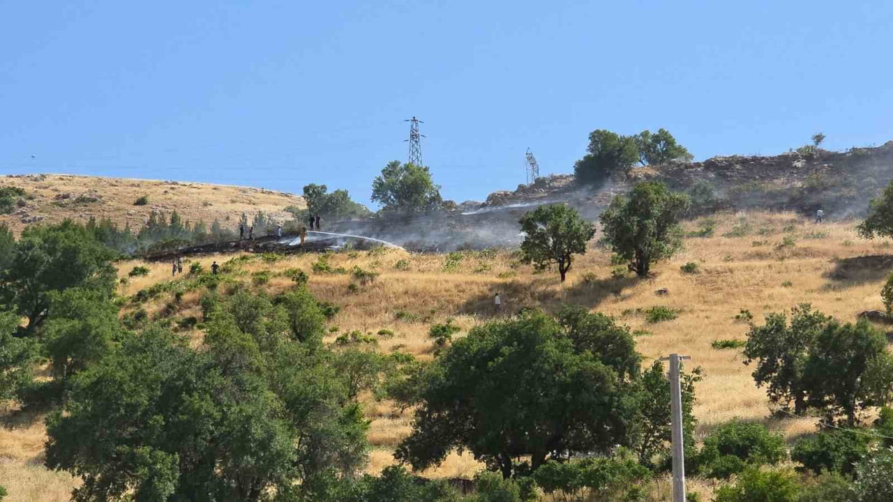 DİYARBAKIR'IN ERGANİ İLÇESİNDE YÜKSEK GERİLİM HATTINA ÇARPAN KUŞUN NEDEN OLDUĞU YANGIN, EKİPLERİM...
