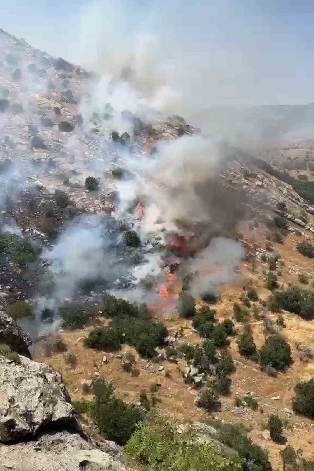 DİYARBAKIR'IN HANİ, LİCE VE HAZRO İLÇELERİNDE ÇIKAN ÖRTÜ VE ORMAN YANGINLARI EKİPLER TARAFINDAN...