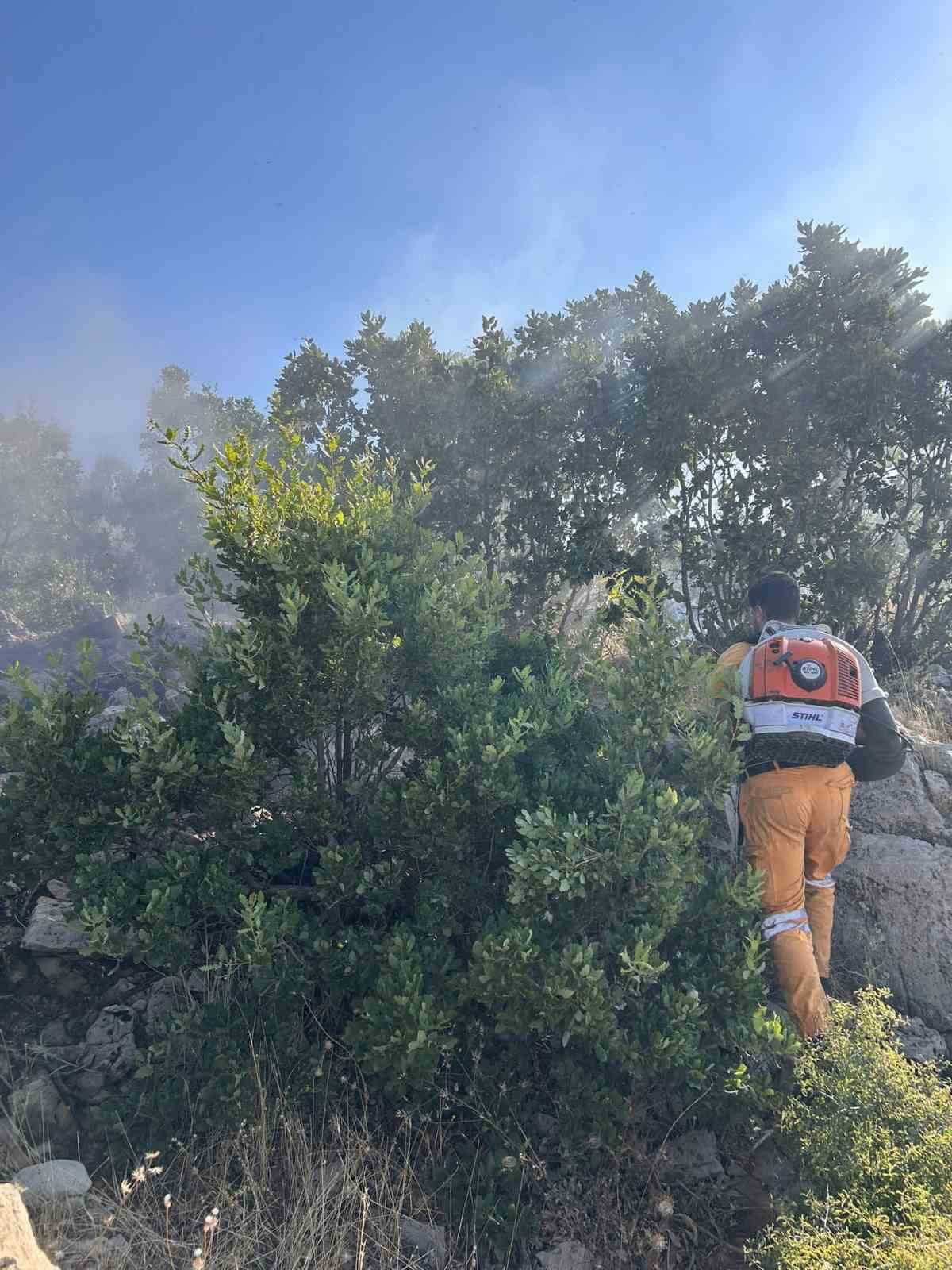 DİYARBAKIR'IN HAZRO İLÇESİNDE 15 DÖNÜME YAKIN ORMANLIK ALAN YANGINDA ZARAR GÖRDÜ