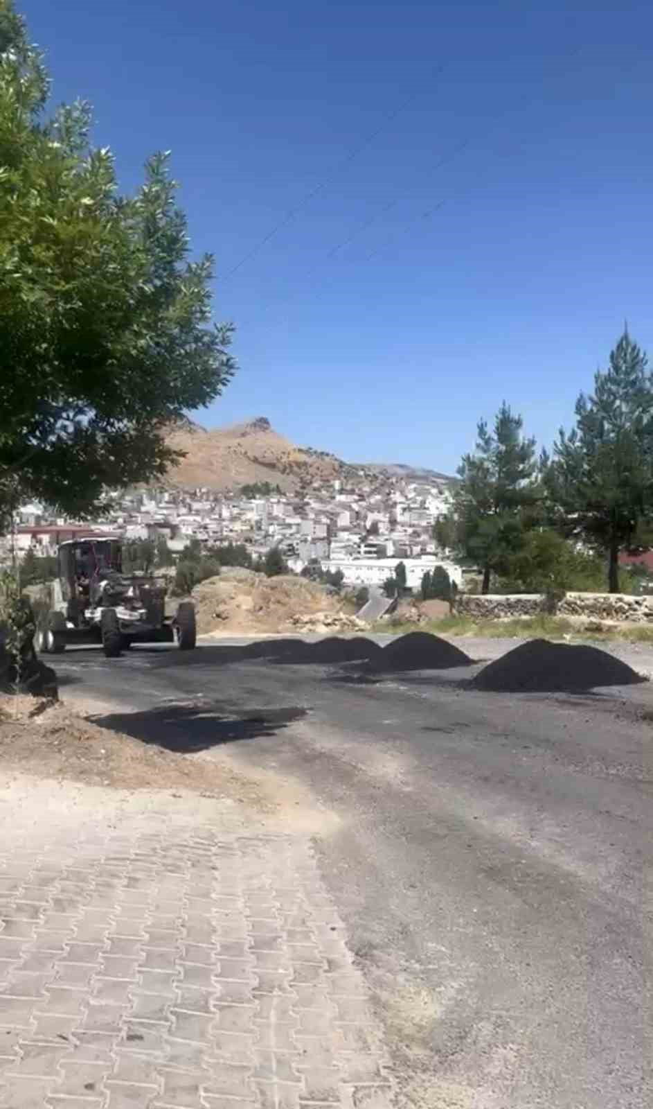 DİYARBAKIR BÜYÜKŞEHİR BELEDİYESİ, VATANDAŞLARIN ÇUKURLARA AĞAÇ DİKEREK TEPKİLERİNİ DİLE GETİRDİĞİ...
