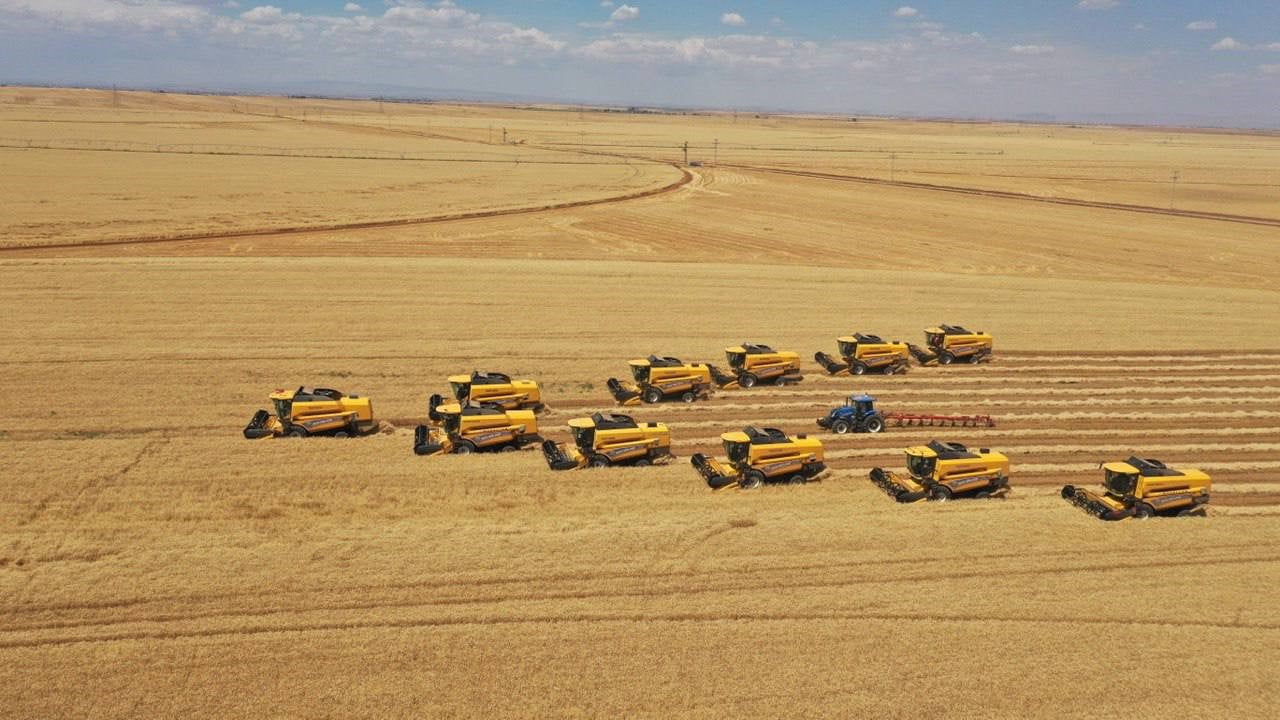 DÜNYANIN EN BÜYÜK ARAZİSİNDE 238 BİÇERDÖVER İLE HASAT