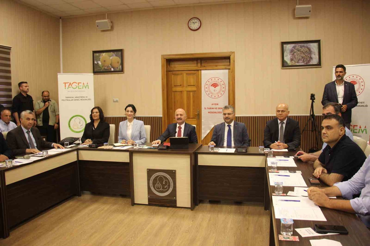 DÜNYANIN EN ÖNEMLİ KURU İNCİR ÜRETİM MERKEZLERİNDEN AYDIN'DA YENİ SEZON ÖNCESİ ÜRETİM, İHRACAT VE...