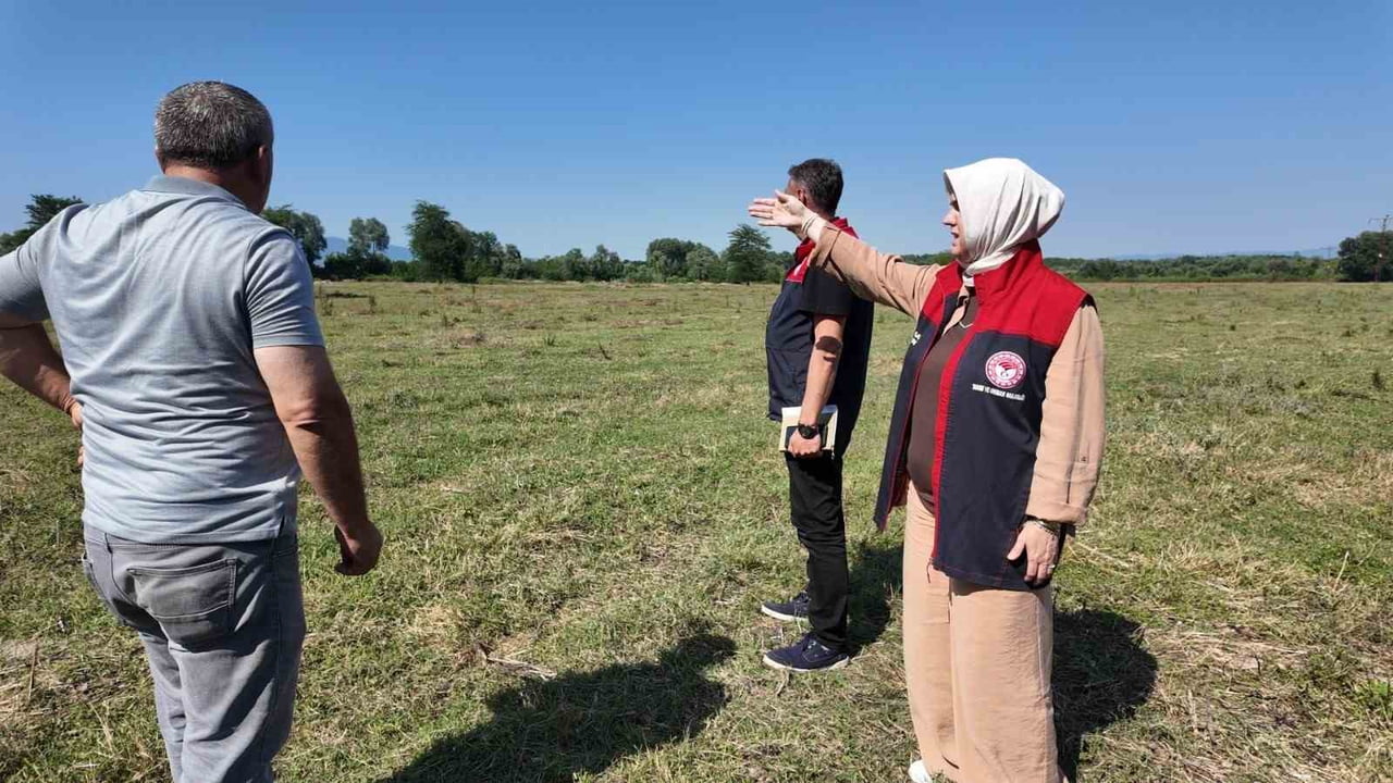 DÜZCE'DE 400 DÖNÜMLÜK MERADA ISLAH ÇALIŞMASI TAMAMLANDI, OTLATMA KAPASİTESİ İKİ KATINA...