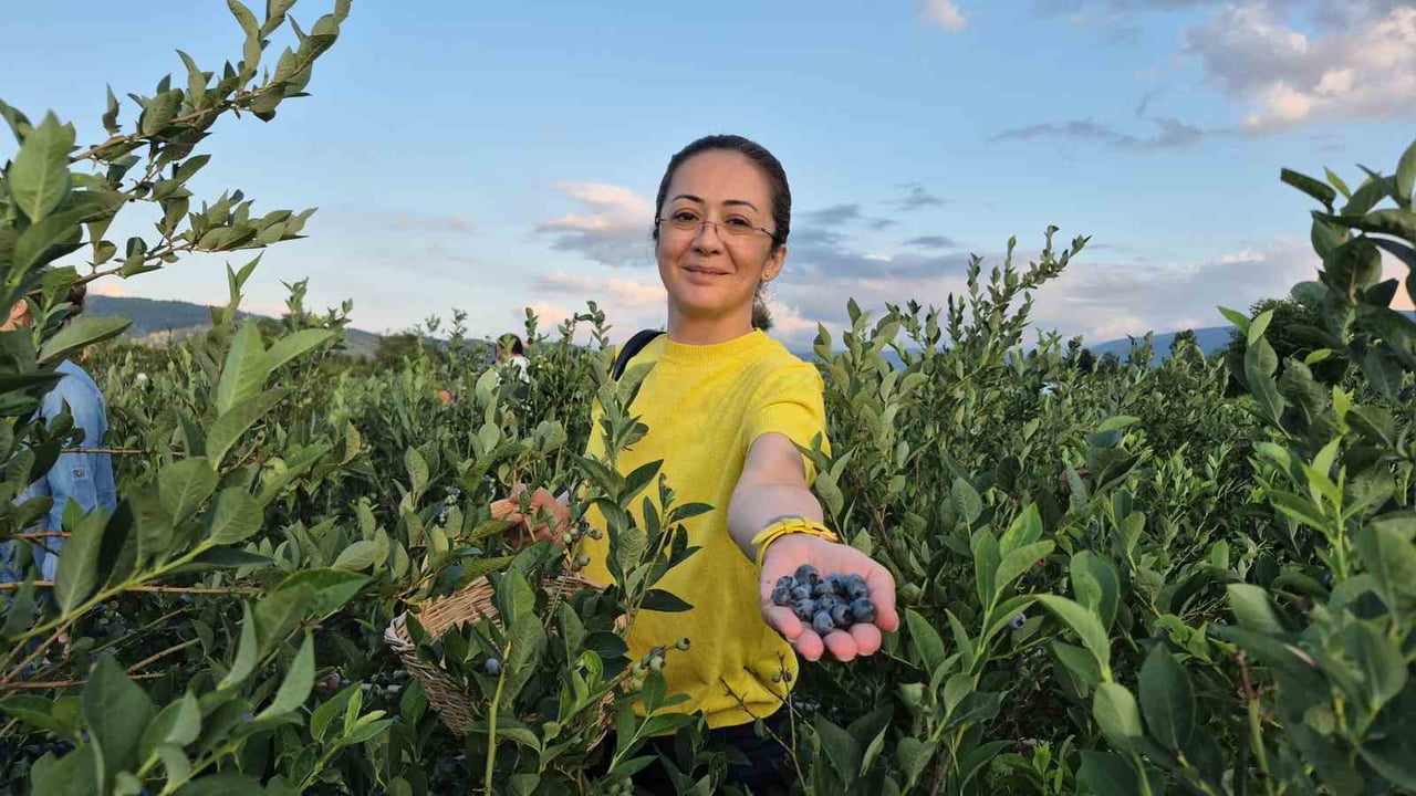DÜZCE'DE ÜNİVERSİTE ÖĞRENCİSİNİN FINDIĞA ALTERNATİF ÜRÜN ARAYIŞIYLA KURDUĞU YABAN MERSİNİ BAHÇESİ...
