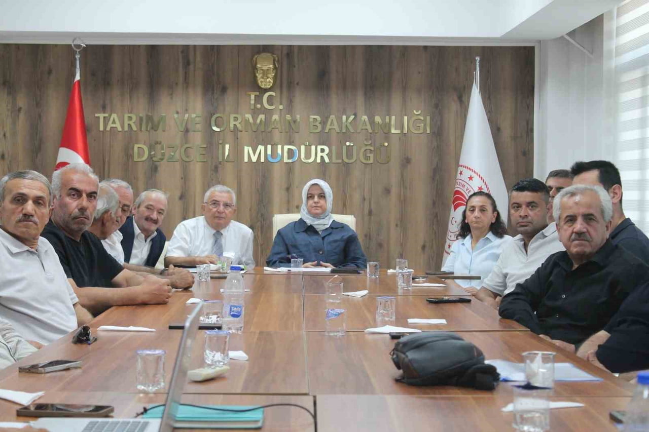 DÜZCE’DE 2026 YILI FINDIK REKOLTE TAHMİN ÇALIŞMALARI KAPSAMINDA GERÇEKLEŞTİRİLEN SAHA...