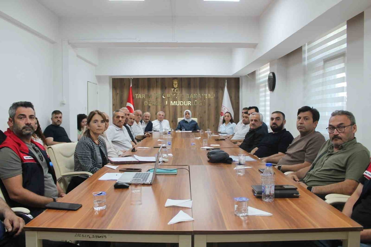 DÜZCE’DE 2026 YILI FINDIK REKOLTE TAHMİN ÇALIŞMALARI KAPSAMINDA GERÇEKLEŞTİRİLEN SAHA...