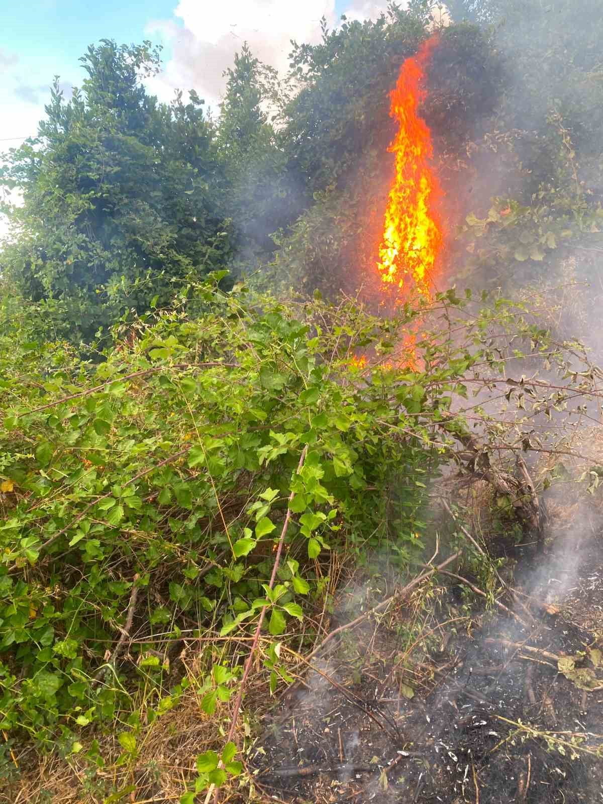 DÜZCE’NİN AKÇAKOCA İLÇESİNDE FINDIKLIK ALANDA ÇIKAN YANGIN KISA SÜRELİ PANİĞE NEDEN OLDU. YANGININ...