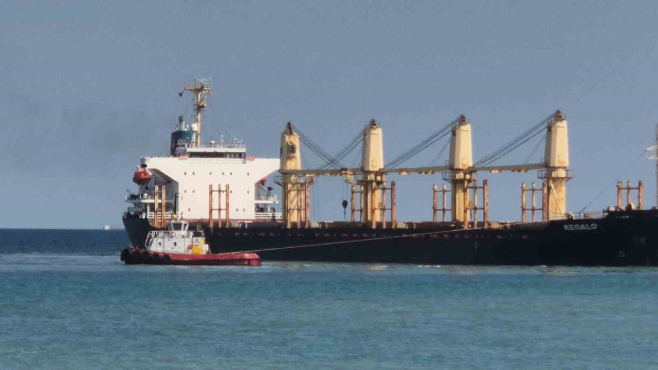 EDİNİLEN BİLGİLERE GÖRE, 169 METRE UZUNLUĞUNDA, 27,2 METRE GENİŞLİĞİNDE VE 28 BİN 461 DWT TAŞIMA...