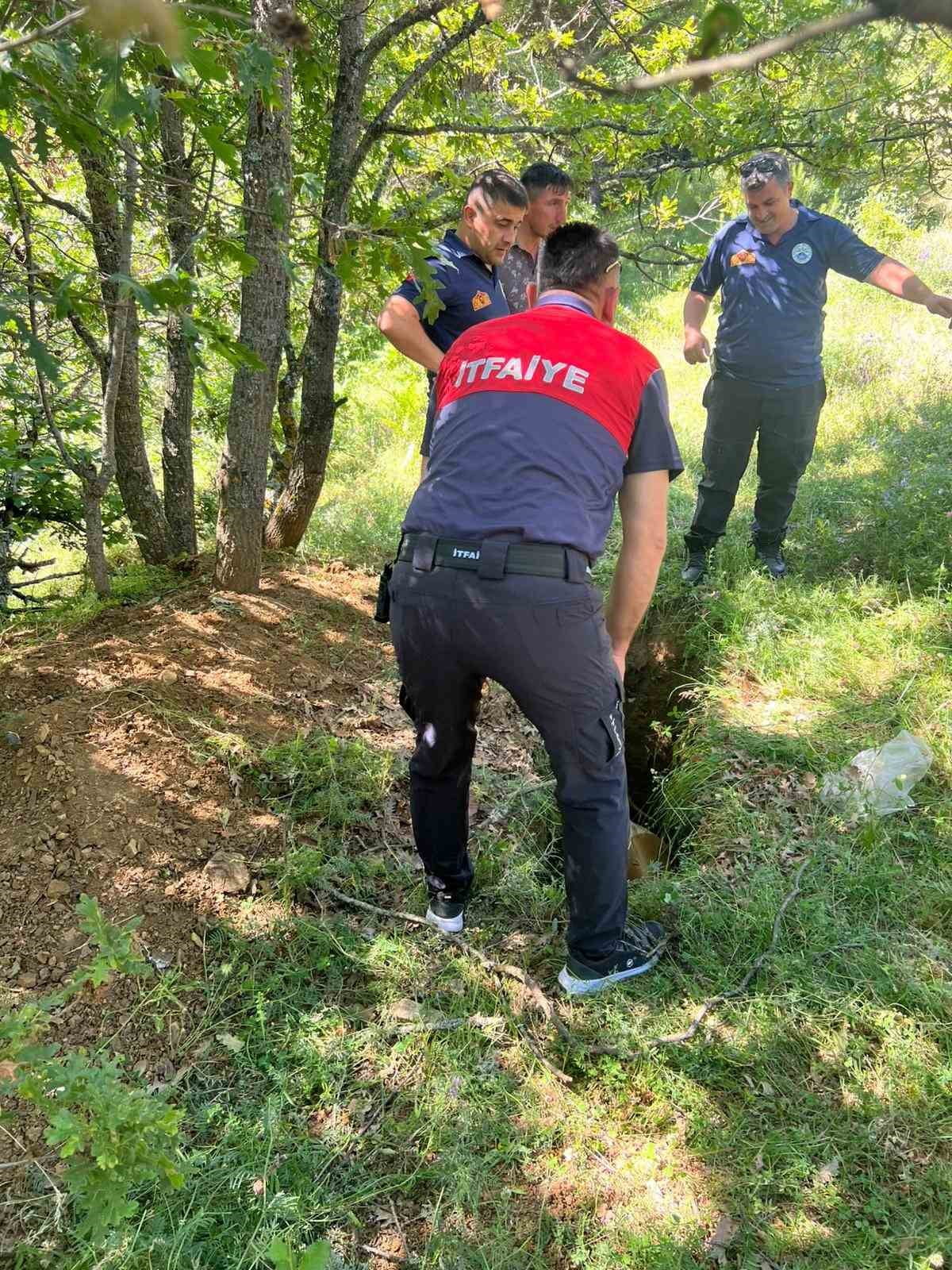EDİNİLEN BİLGİYE GÖRE, SULUOVA İLÇESİNE BAĞLI SOKU KÖYÜNDE ARAZİDE DEFİNECİLER TARAFINDAN AÇILDIĞI...