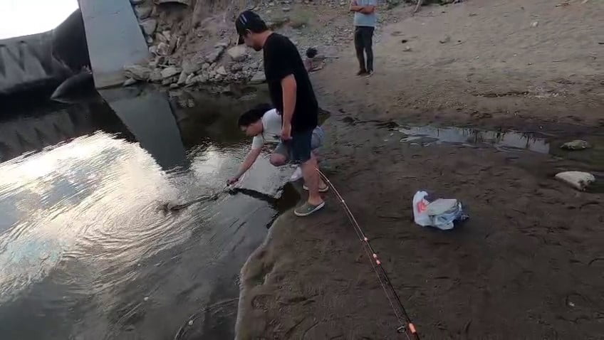 EDİRNE'DE MERİÇ NEHRİ'NDE BALIK TUTAN VATANDAŞLAR, OLTAYA TAKILAN DEV TURNA BALIĞI NEDENİYLE...