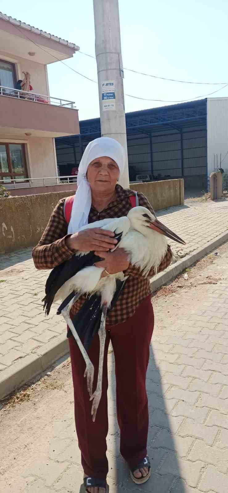 EDİRNE'NİN İPSALA İLÇESİNE BAĞLI YENİKARPUZLU BELDESİNDE YAŞAYAN AYSEL SOLAK, YOLDA BİTKİN HALDE...