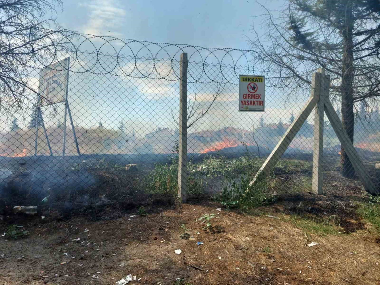 EDİRNE’DE ALEVLERİN ARASINDAN KURTARILAN KAPLUMBAĞA YÜREKLERİ ISITTI