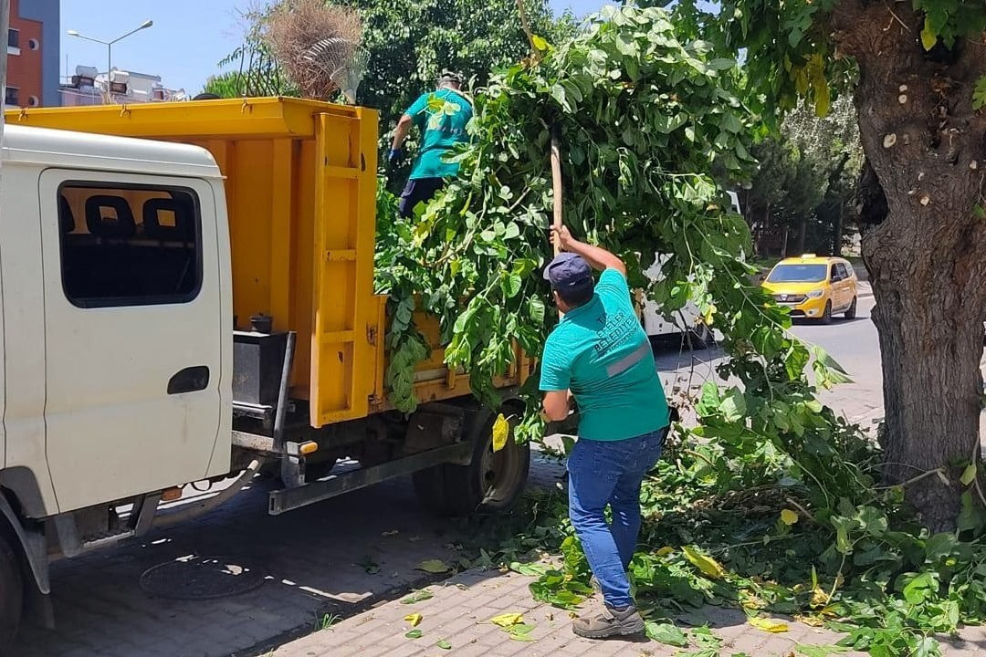 EFELER BELEDİYESİ PARK VE BAHÇELER MÜDÜRLÜĞÜ EKİPLERİ, İLÇE GENELİNDEKİ PARKLAR, YEŞİL ALANLAR VE...