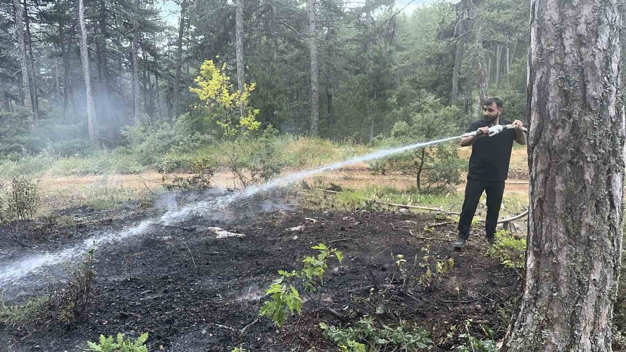 EFLANİ İLÇESİNDE ÇIKAN ÖRTÜ YANGINI ORMANLIK ALANA SIÇRAMADAN SÖNDÜRÜLDÜ.
