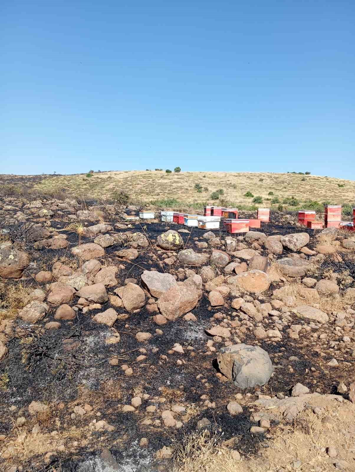 ELAZIĞ'DA ÇIKAN ARAZİ YANGININDA ARI KOVANLARI ZARAR GÖRDÜ.