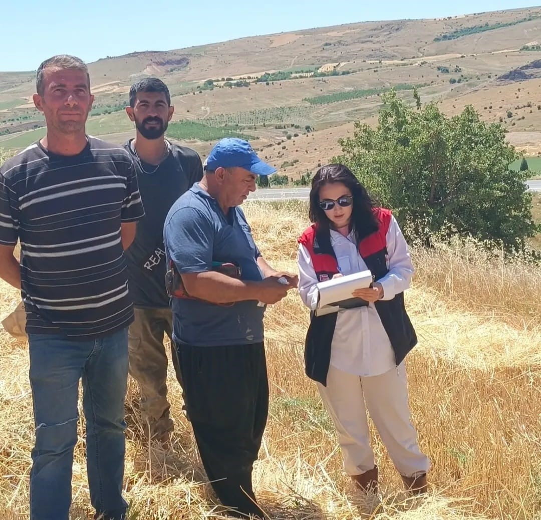 ELAZIĞ'IN AĞIN İLÇESİNDE, İLÇE TARIM VE ORMAN MÜDÜRLÜĞÜ TEKNİK PERSONELİ TARAFINDAN HASAT SEZONU...