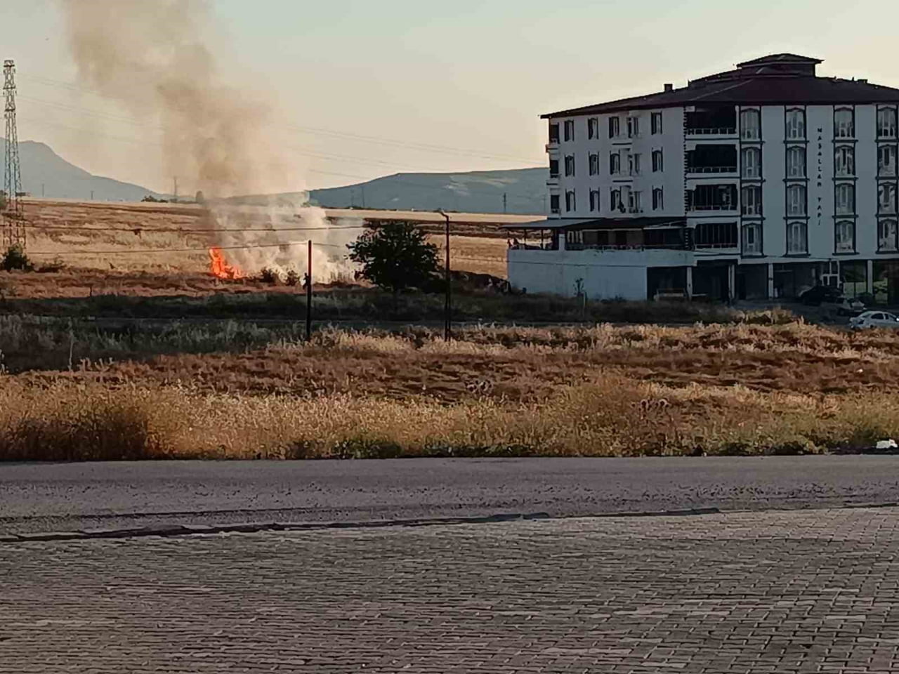 ELAZIĞ'IN PALU İLÇESİNDE BUĞDAY VE ARPA EKİLİ TARLADA ÇIKAN YANGINA İTFAİYE VE ORMAN EKİPLERİNİN...