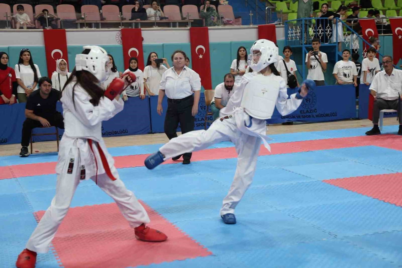 ELAZIĞ EV SAHİPLİĞİNDE DÜZENLENEN ANADOLU YILDIZLAR LİGİ (ANALİG) KARATE 1. ETAP 7. GRUP...