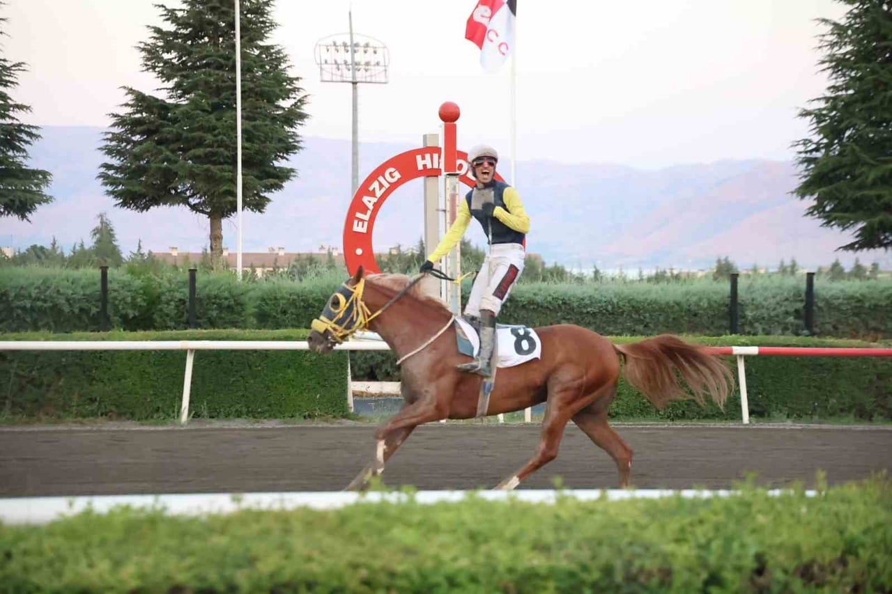 ELAZIĞ HİPODROMU’NDA VALİLİK KOŞUSUNU NESİB İSİMLİ SAFKAN AT KAZANDI